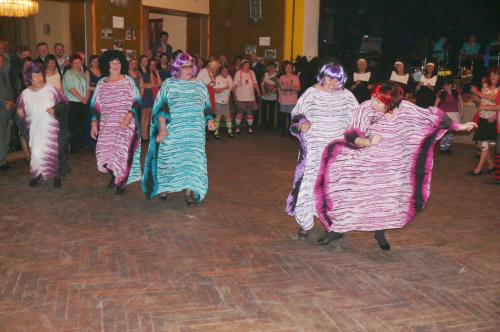 Hasičský ples 2015